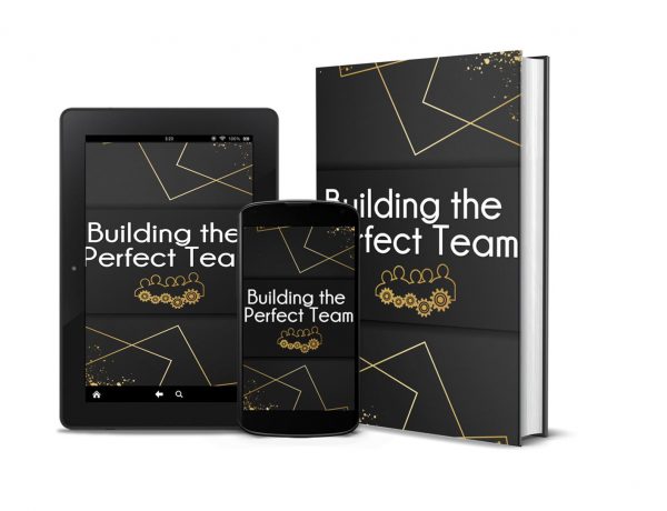 Building The Perfect Team