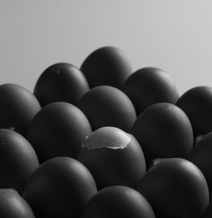 A closeup of eggs with one half-peeled egg in black and white.